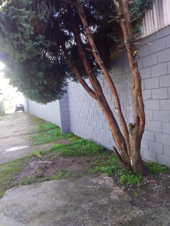 הוילה Campos do Jordão Kitnet Recanto De Campos-Pertinho Do Centro מראה חיצוני תמונה