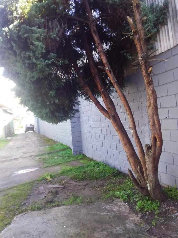 הוילה Campos do Jordão Kitnet Recanto De Campos-Pertinho Do Centro מראה חיצוני תמונה