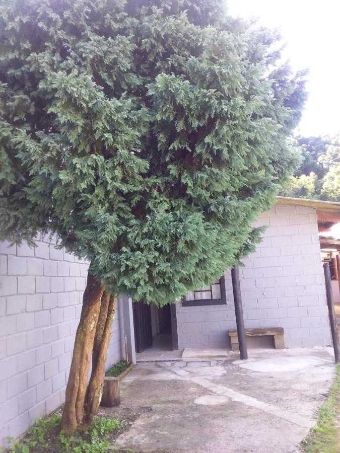 הוילה Campos do Jordão Kitnet Recanto De Campos-Pertinho Do Centro מראה חיצוני תמונה