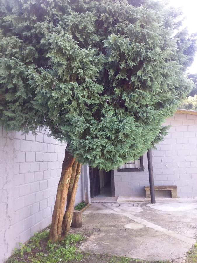 הוילה Campos do Jordão Kitnet Recanto De Campos-Pertinho Do Centro מראה חיצוני תמונה